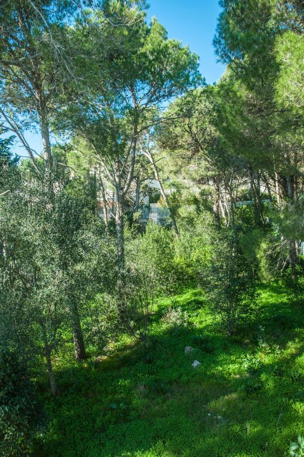 Caper Villa Santa Caterina  Dış mekan fotoğraf